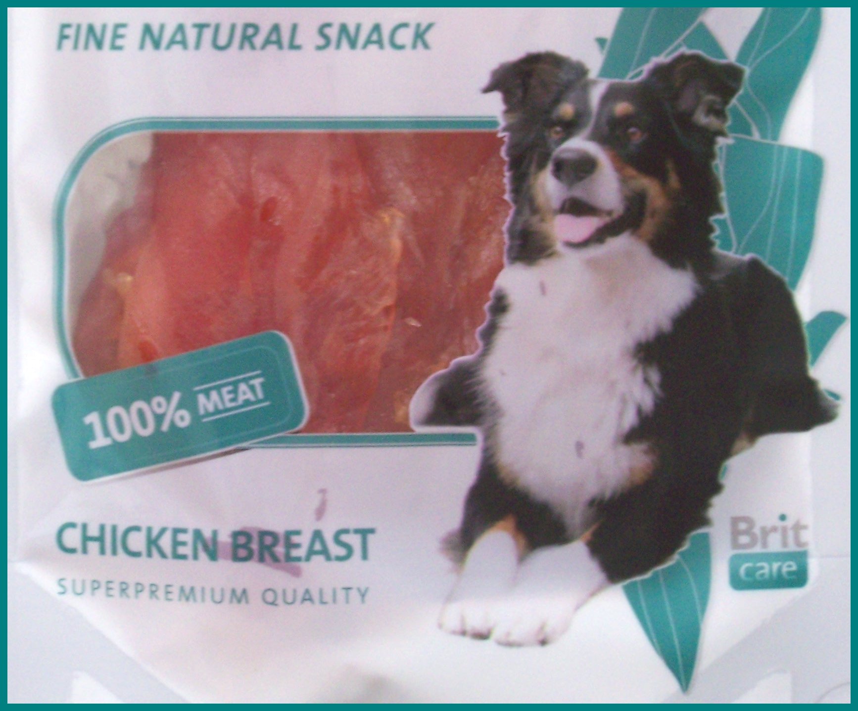 friandise chien